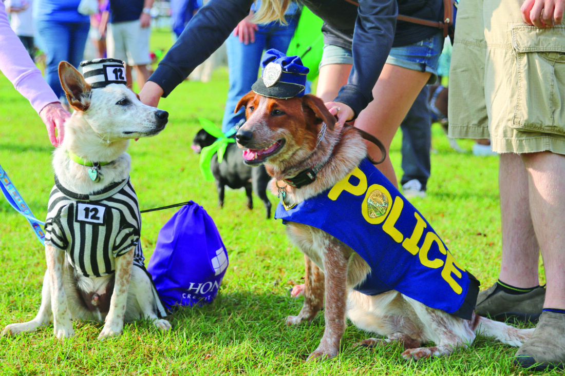 UPAWS’ Strut Your Mutt changes location News, Sports, Jobs The